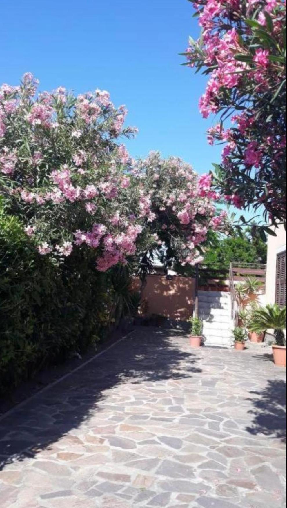 Giorgia Airport 2 Fiumicino Bed and Breakfast Buitenkant foto